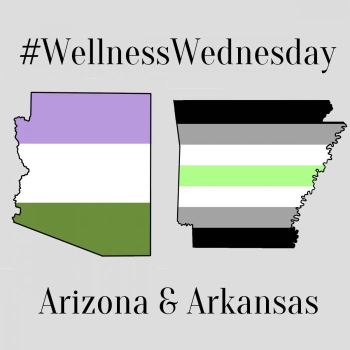 Health Care Resources in Arizona and Arkansas